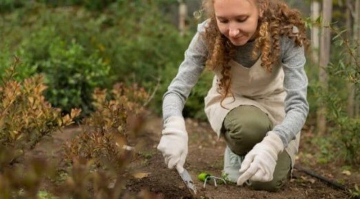 ��� �������� ����� �� ����� �������: ������ �������� ����������