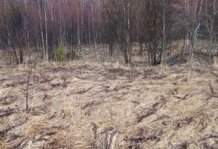 � ��������� ������� ������������ ����������� �� ����������� �����