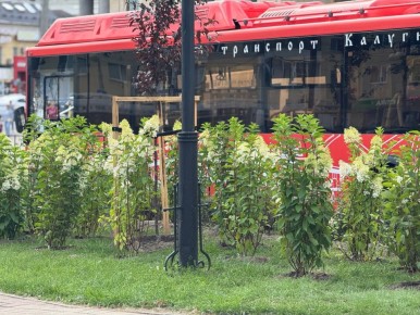 2025 ��� � ������ �������� ����� ���������� ������������� ����������