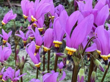 ����������: ������������ ������������ �������� ��� ������ ����