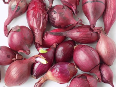 ��� ����������� ����-����� ����� �������� � �������� ������