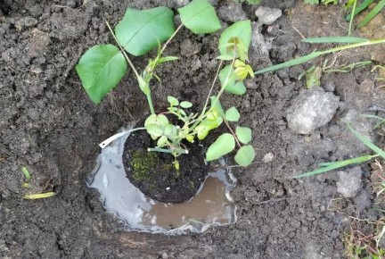 ��� ��������� �������� ���� ������ ��� �������� ��������