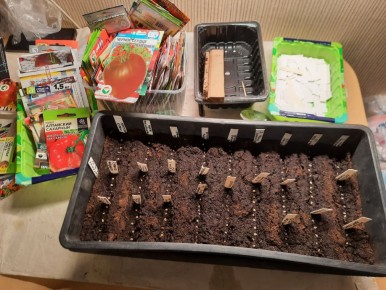 ������ ���������: ��� ��������� ��������� � �����������