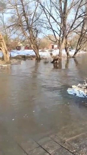 � ��������� ������� �������� ����������� ����� ������