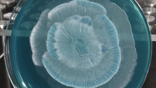 ���������� �������: �����, �������������� ����, ����� �������� ���� �������