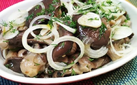 ������� ������� �� �����: ���������� ������� ������ ��� ������������ ������