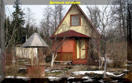 Весенние заботы: что нужно сделать в саду и огороде в марте и апреле