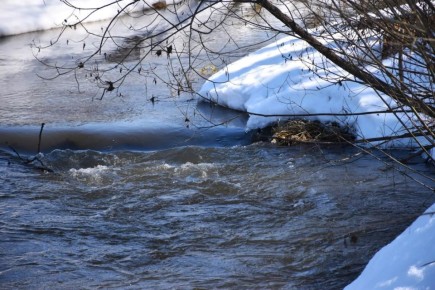 ��� � ����� ������ �� ����� ��������� �� 71 ���������