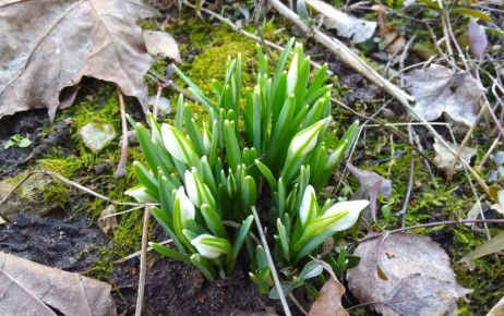 Последний день марта порадует калужан теплом до +14 градусов