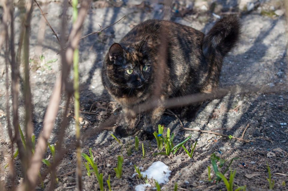 � ��������� ������� ������������ ����� ����� ���� �� ��� ������� ����������