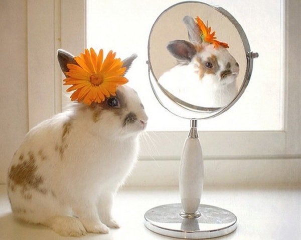 Эффективные советы для мгновенного поднятия настроения