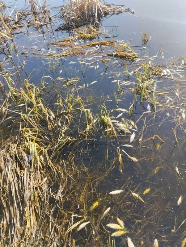 � ��������� ����� ������� ������� ����