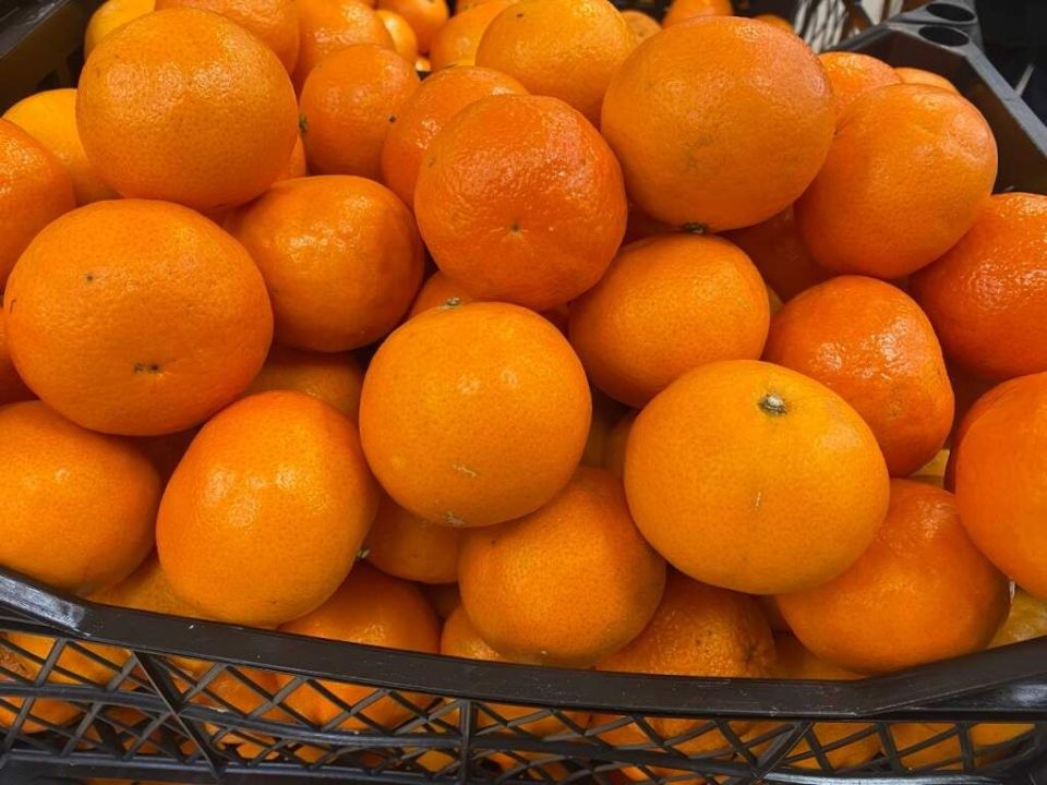 ��� ������� � ��������� ��������� � ������ ����