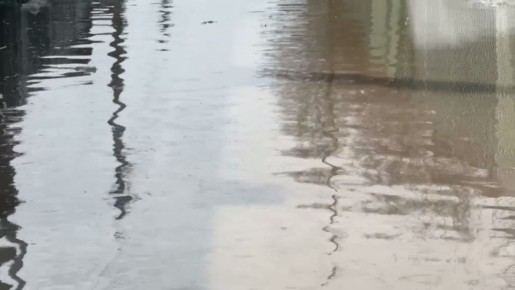 � ��������� ������� ������� ����� �������