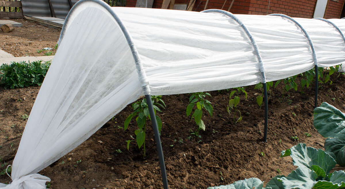 Как продлить срок службы укрывного материала: советы и рекомендации