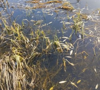 � ����� ��������� ������� ������� ������ ����