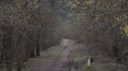 ��������� �������� ��������� ������ ���������� ����������