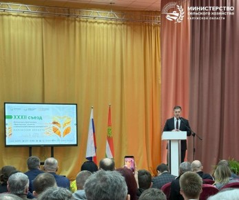 ������� ��������� ������� ���������� ������ �� ������ � �����������