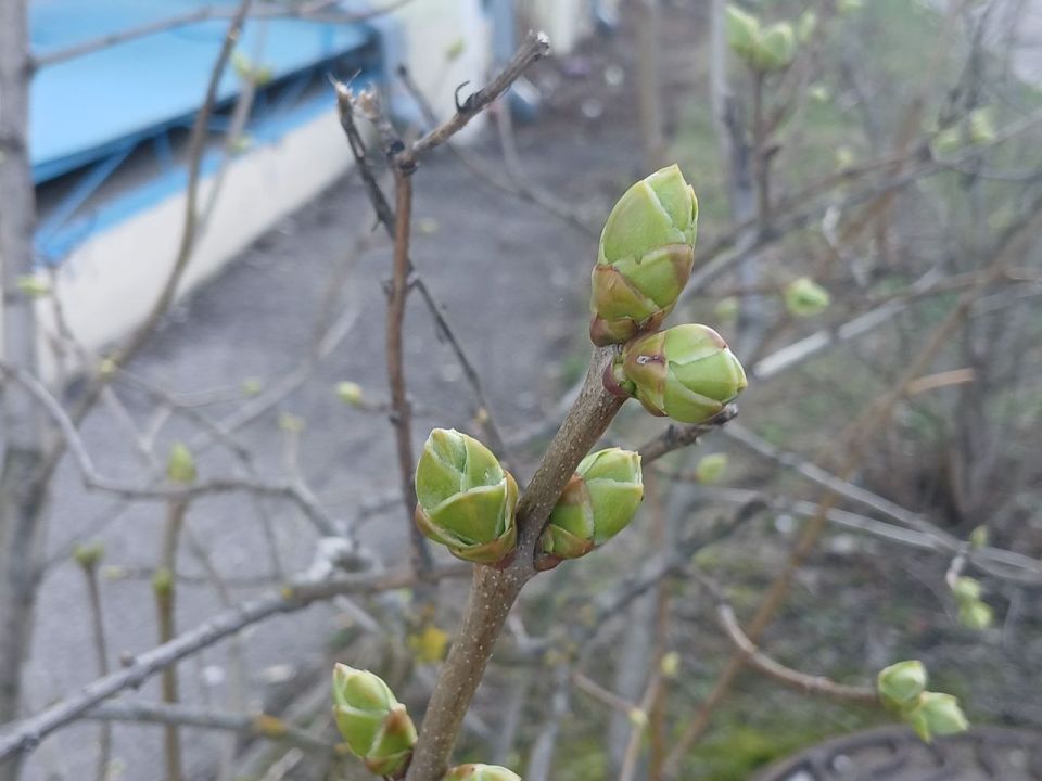 � ��������� ������� �������� �����������