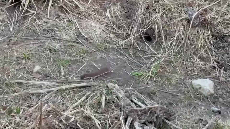 ����� ������� � ������. ���������� ������� ������� ��������� �� ���������� ���, � � �������� ����� ������� ����� ������ ������� �������