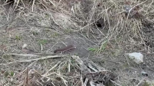 ����� ������� � ������. ���������� ������� ������� ��������� �� ���������� ���, � � �������� ����� ������� ����� ������ ������� �������