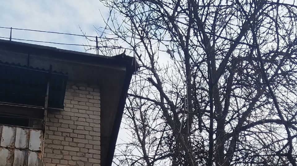 � ������ ������ ���� ��� ���� ���������� �������� ������