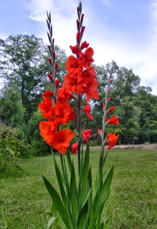 ����� � ��� ���������� �������� ���������� ��� ������� ��������