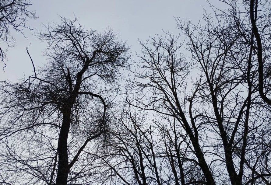 �������� ��� ������� �������� ����� ������ ������������� ��� ��������� ��������