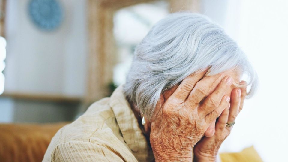 ��� ���� �����, ������� ����� ��������� ���� ����� ����� 50