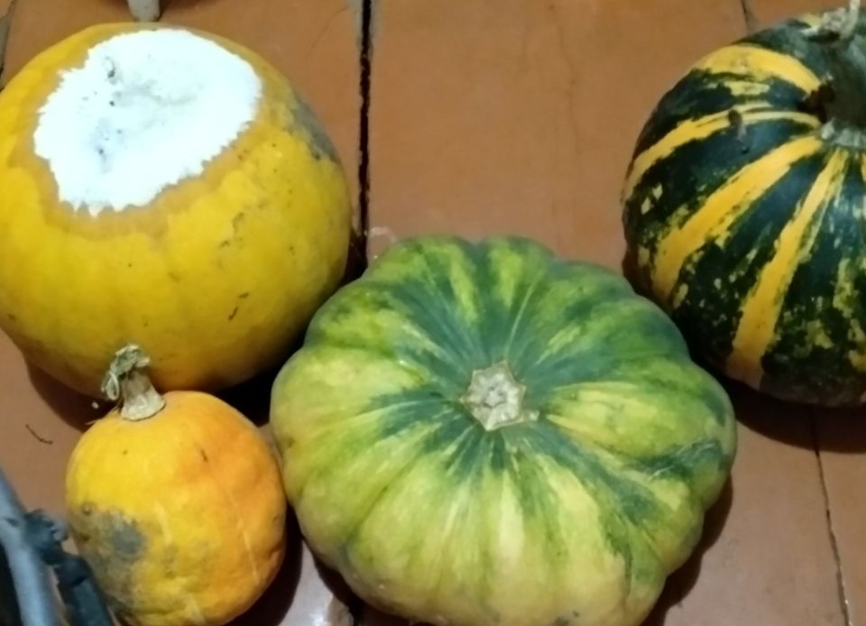 ����� ��� �������: ����������� � ������� ������ � ����