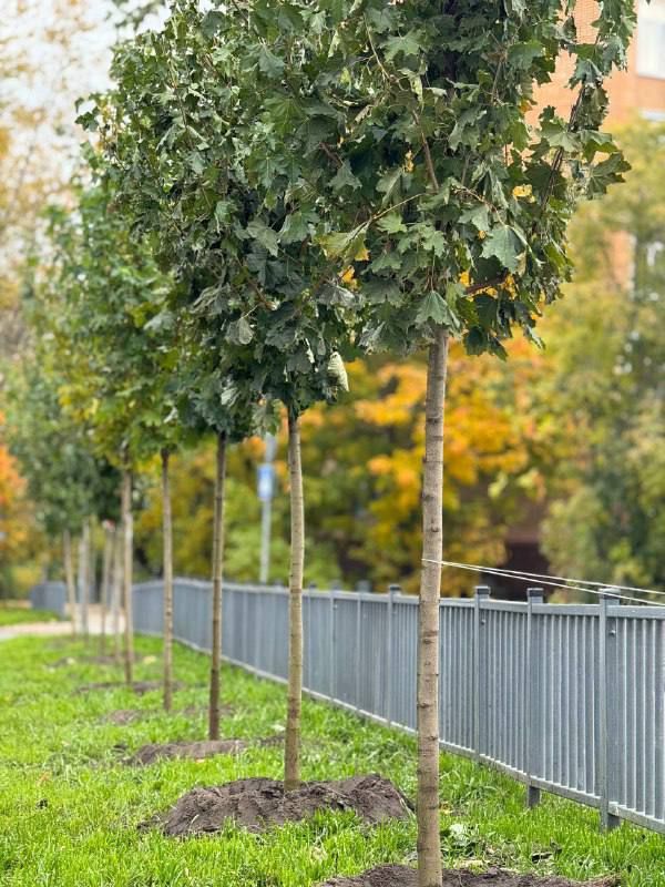 �������� ����� ������� �� ����������� ������ ������