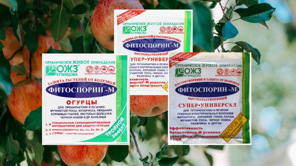 ������� ������������� �������� �����������