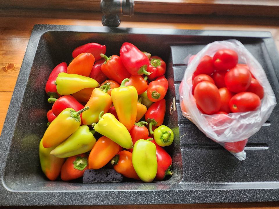 ������� ��������� ����: ��� ����������� �� ������� �����