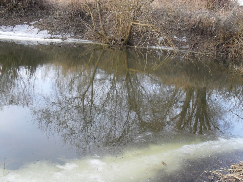 ���� � ����� ��������� ������� ����� �� ����