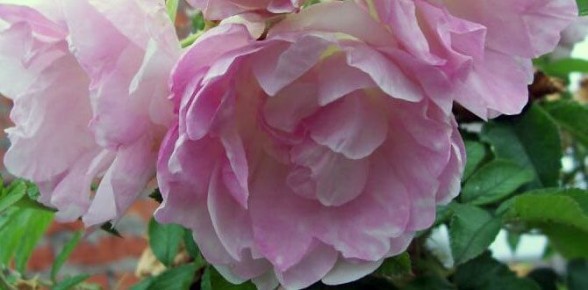 ������ ��������� ����� � ���� � ���� ����� ����� �������