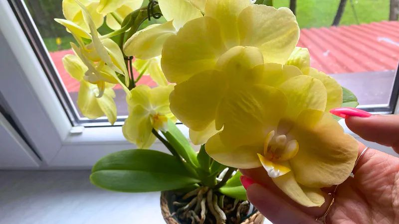 ����� ������� ����: ��� ������ ������������� ������� � ������ ��������� ��������