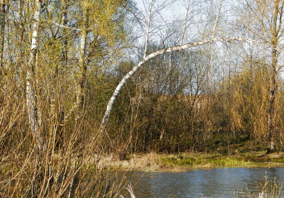 � ��������� ������� ������������ ����� ���� ��� �������