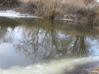 ���� � ��������� ������� ����� �� 41 ��������� �� �����