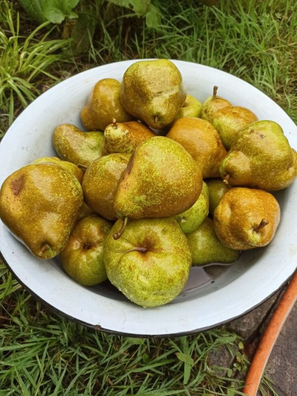 ����������� ������ ��� ������ ������� �������