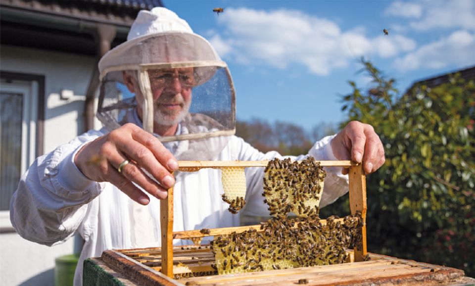 ���� � ����� �������� ��������: ��� � �������� ������