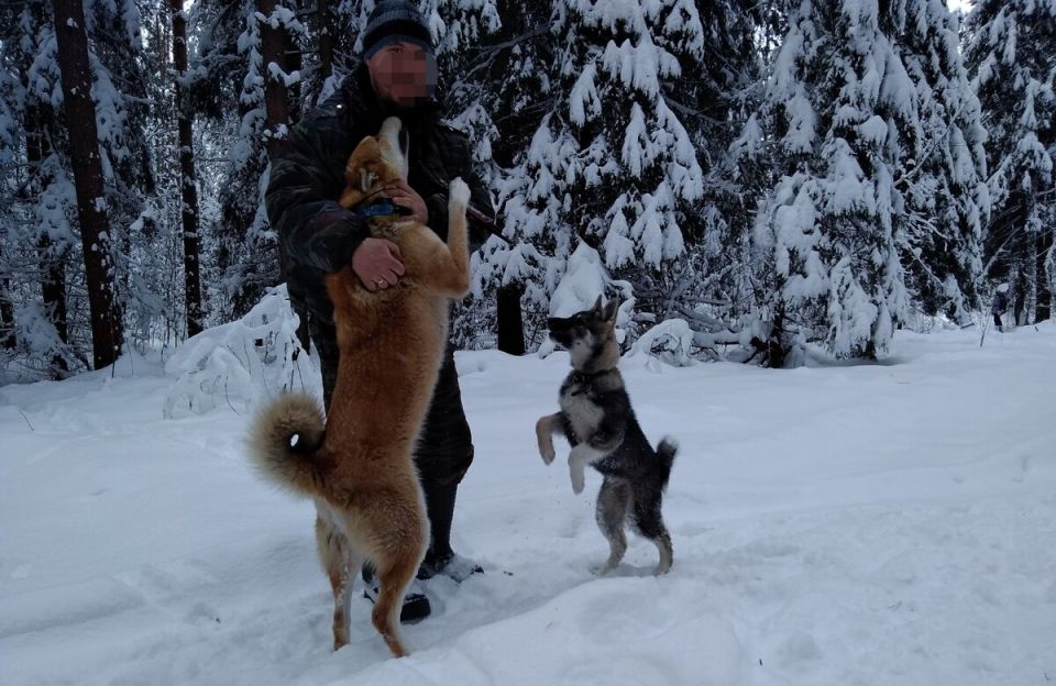 ��� �������� �������� �� ������: ������������ ������