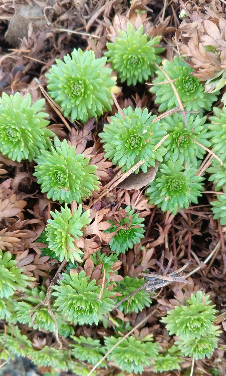 Как миг превращается в бесконечность: размышления о жизни на пенсии