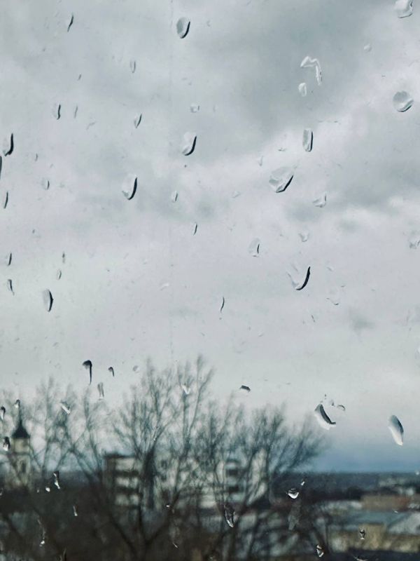 � ��������� ������� ��������� �������� ����� �� 17 �/�