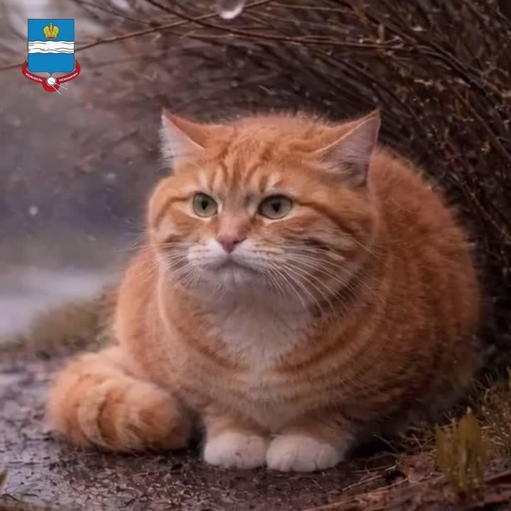 ������ � ����� ����������, ����� ����� �������� ������ ���������� �������� ����� ��������� ������������ �������