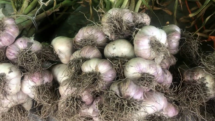 ��� ��������� ����������� ������ ��� ������� �������: ������� �������� ������� �� 14 ����