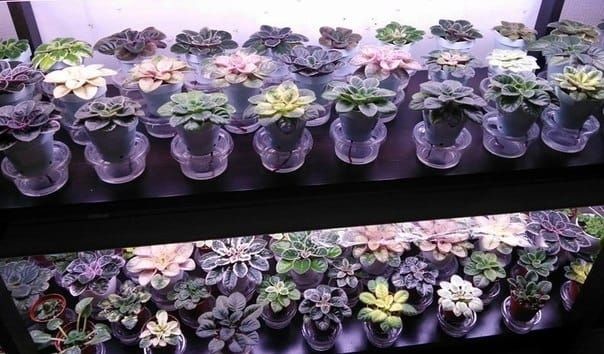 ��������� �����: ��� ������ � ��������� ���������� ������� � �������