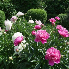 ����� � ����� ����: ������� ��������� ����� ��� ���������� ��������