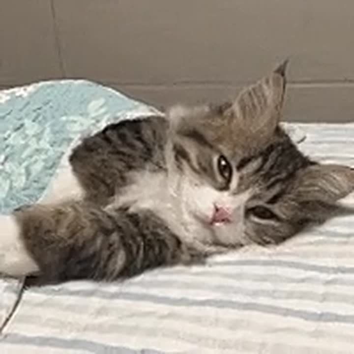 77% ������� ���������� �������� �� ����