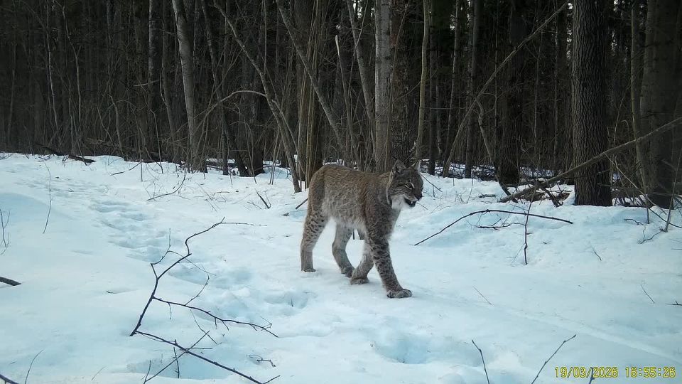 ���� ����� �� ����� � ��������� ����