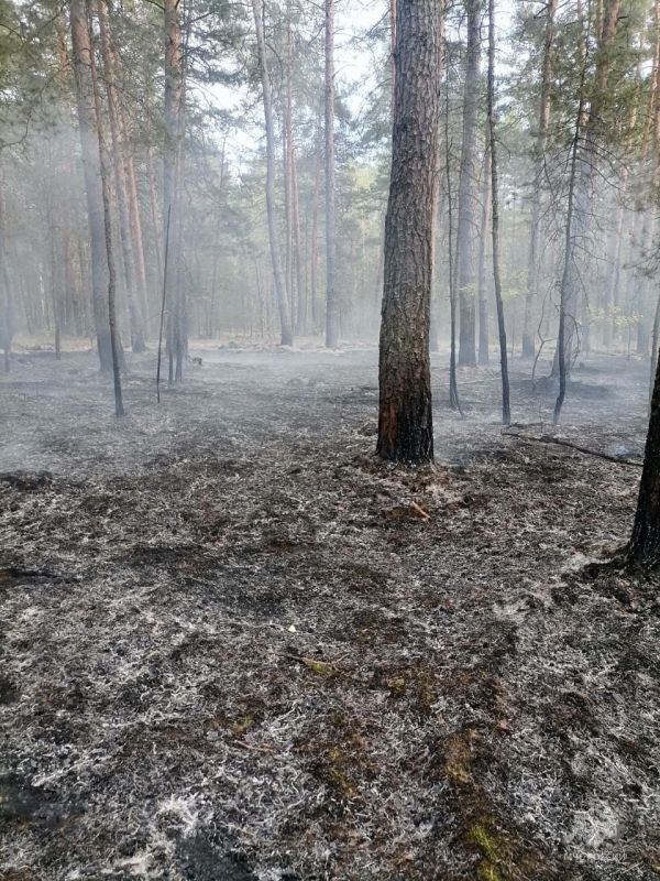 � ��������� ������� ������� ������������� �����